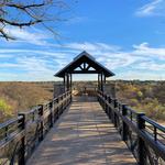 Arbor Hills Nature Preserve