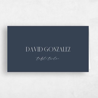 Blue Typography Wedding Place Card - Roberts