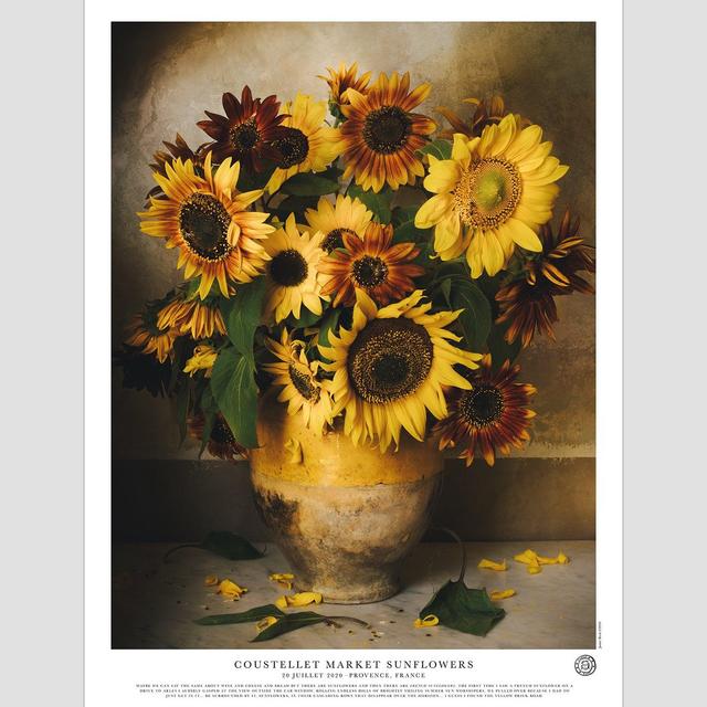 Coustellet Market Sunflowers Poster