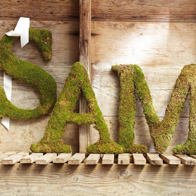 Fresh Moss Letter, A