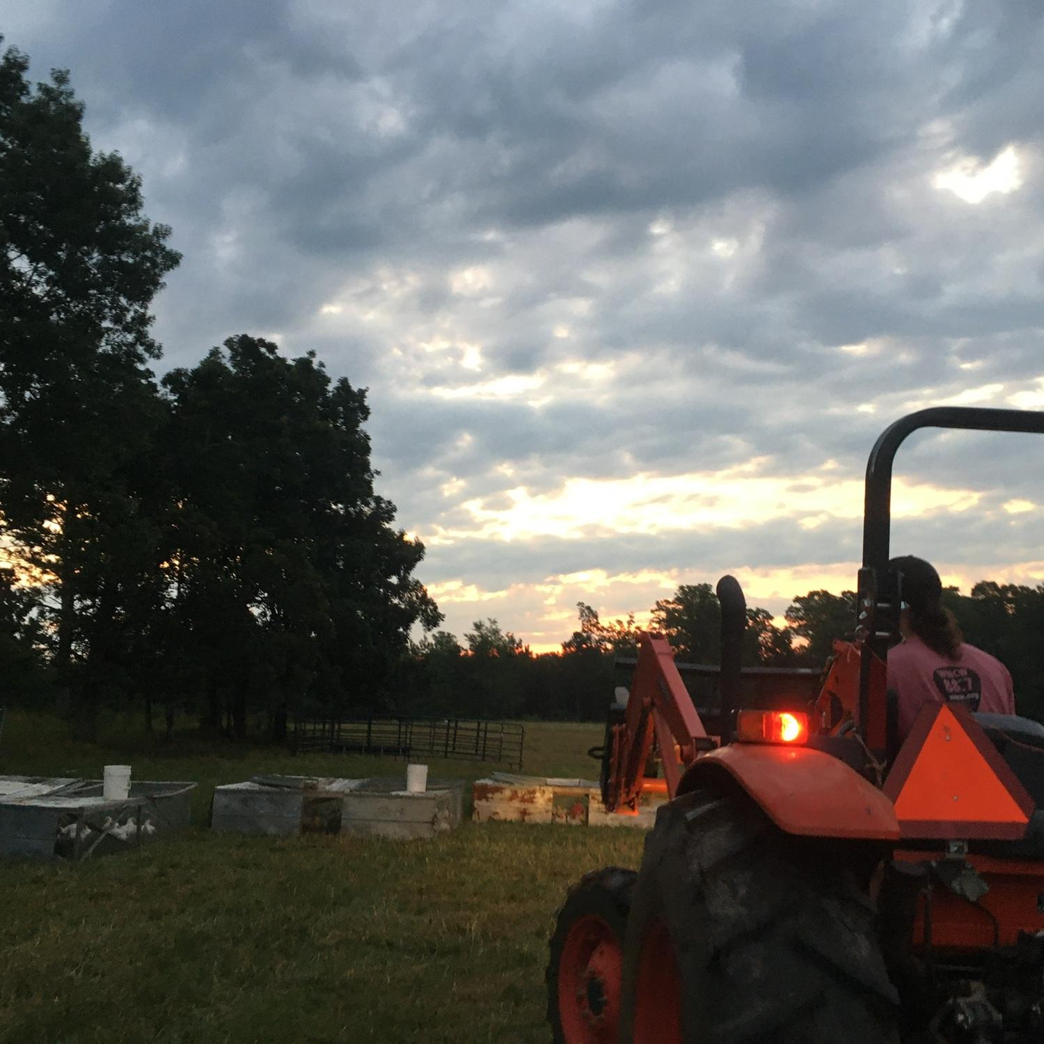 Early mornings processing chickens at Colfax Creek Farm. Where it all began in 2020.