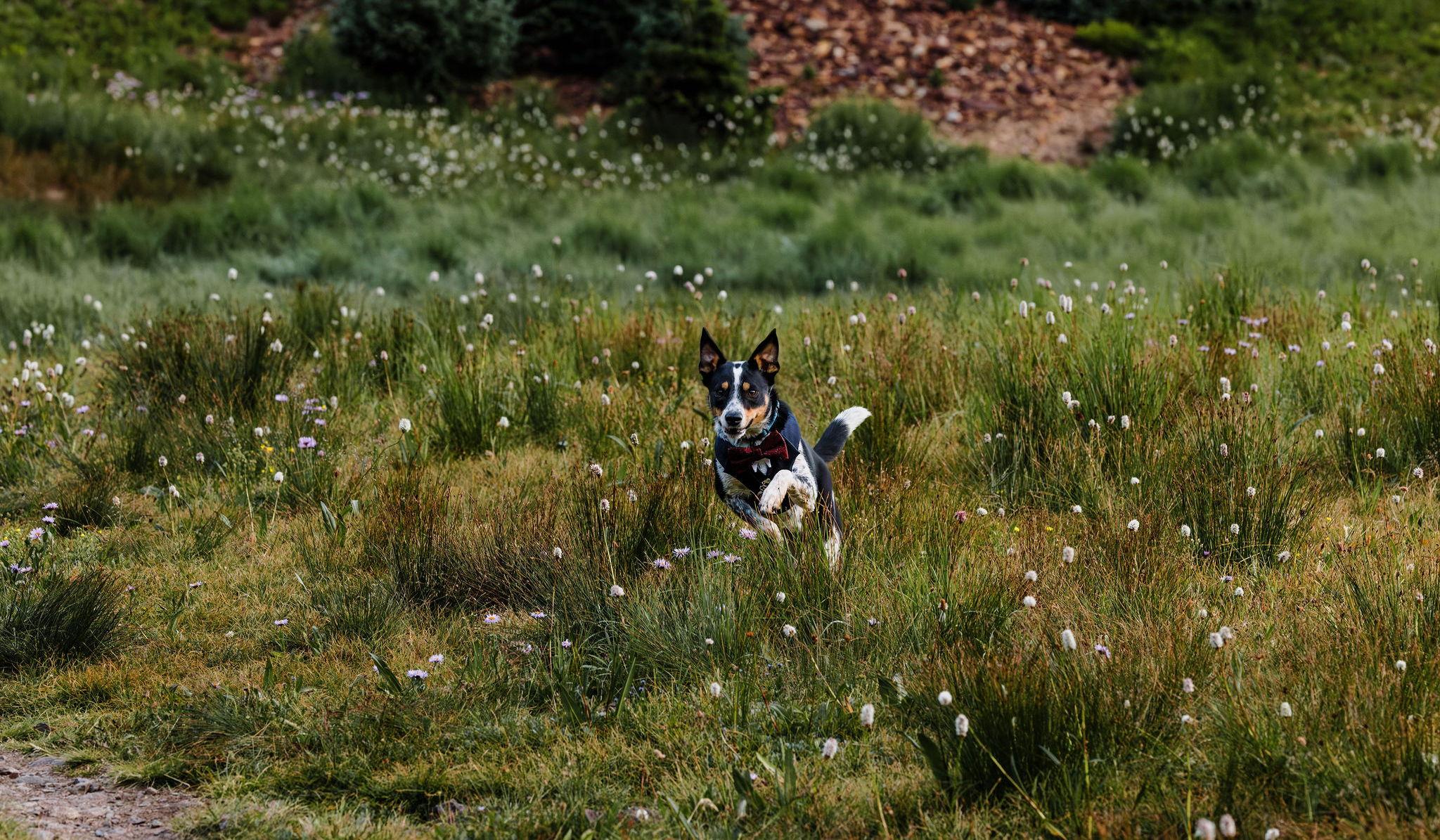 Hero Slideshow Image 2