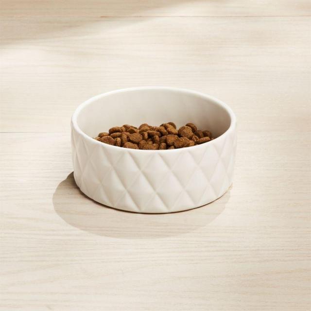 Harlequin Small Dog Bowl