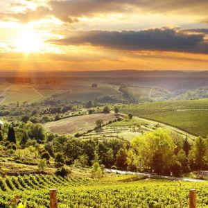 Chianti Wine Tour in Tuscany