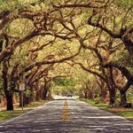 Coral Way