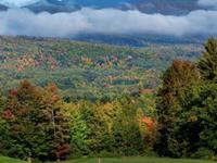 Panorama Six82