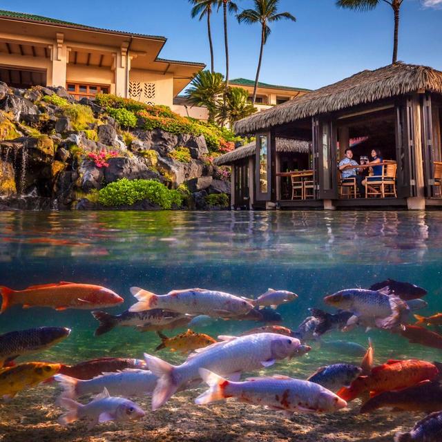 Dinner at Tidepools