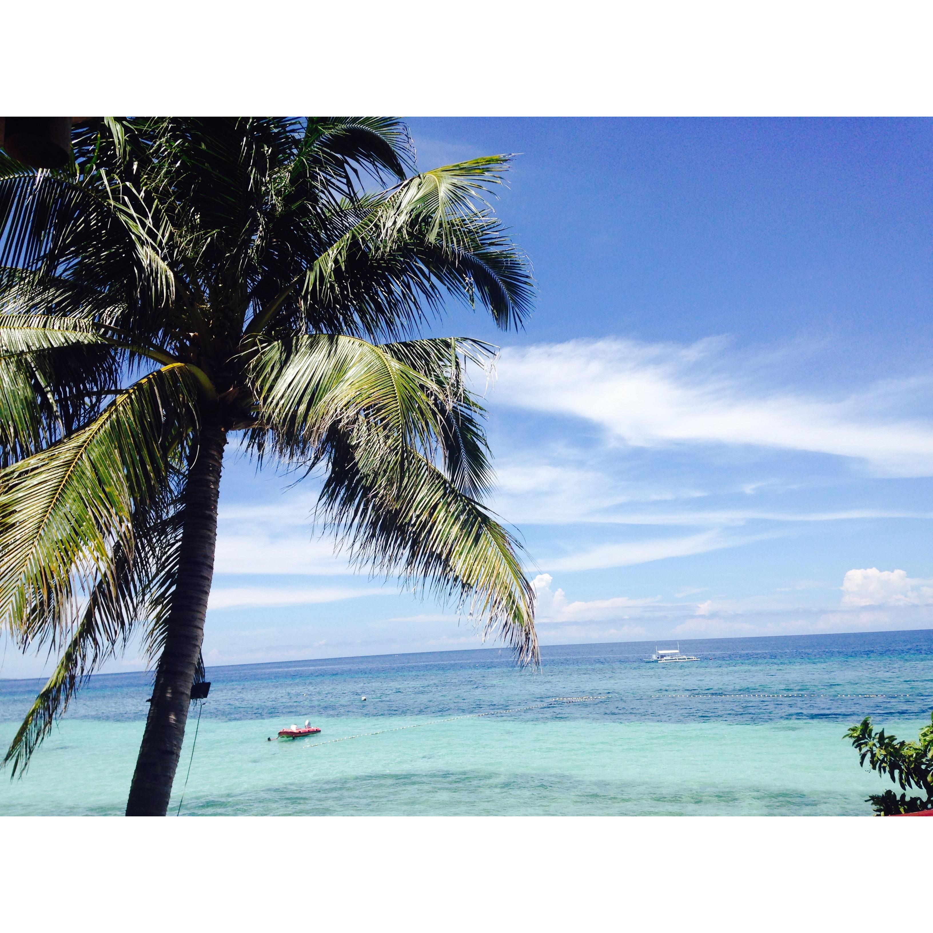 Bohol Waters, Philippines