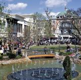 The Grove