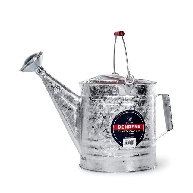 2.5 Gallon Hot Dipped Steel Watering Can by Behrens