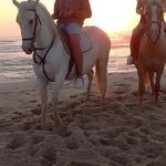 Passeios a cavalo
