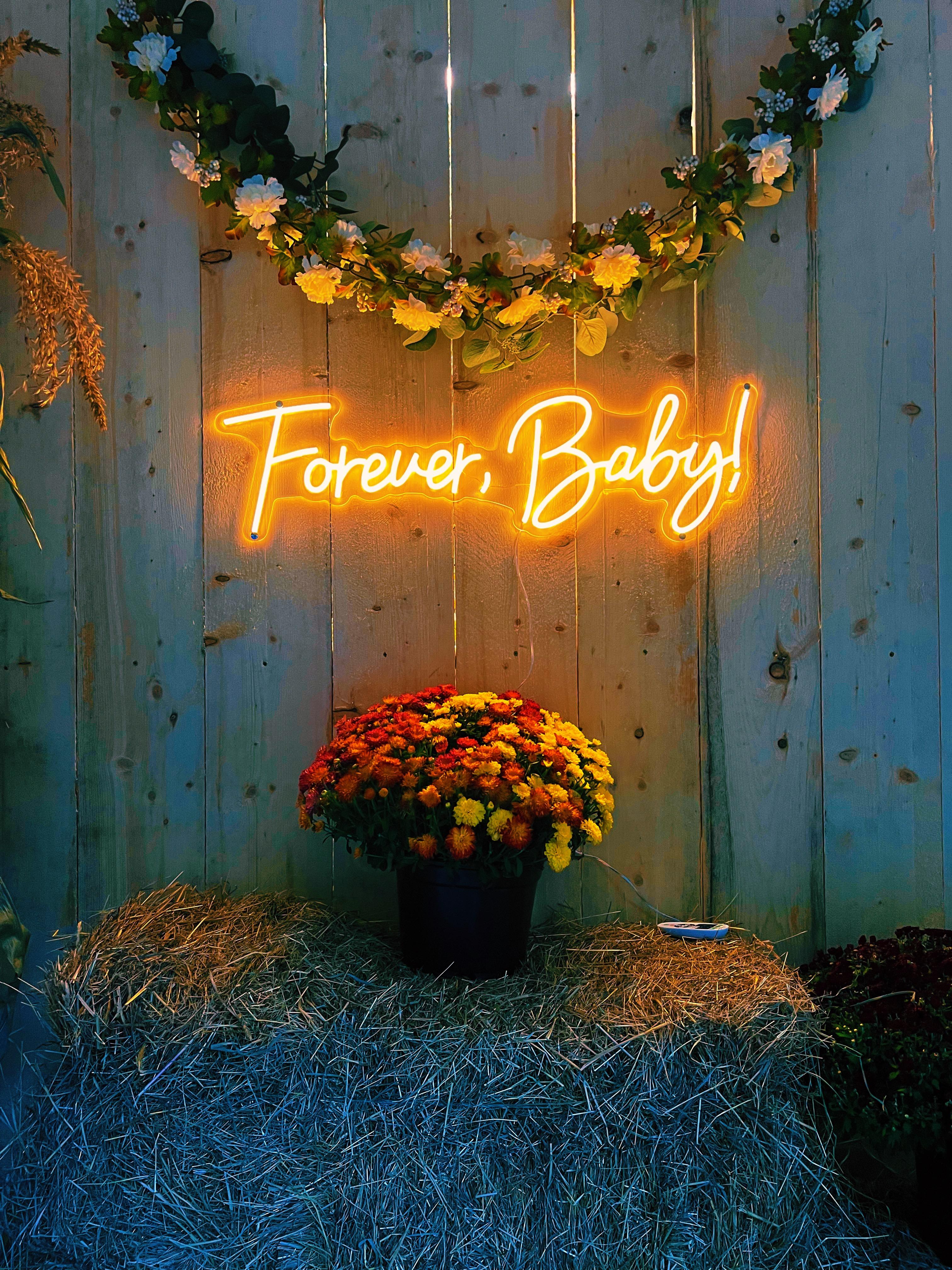 The Wedding Website of Abbey Merow and Max Shiver