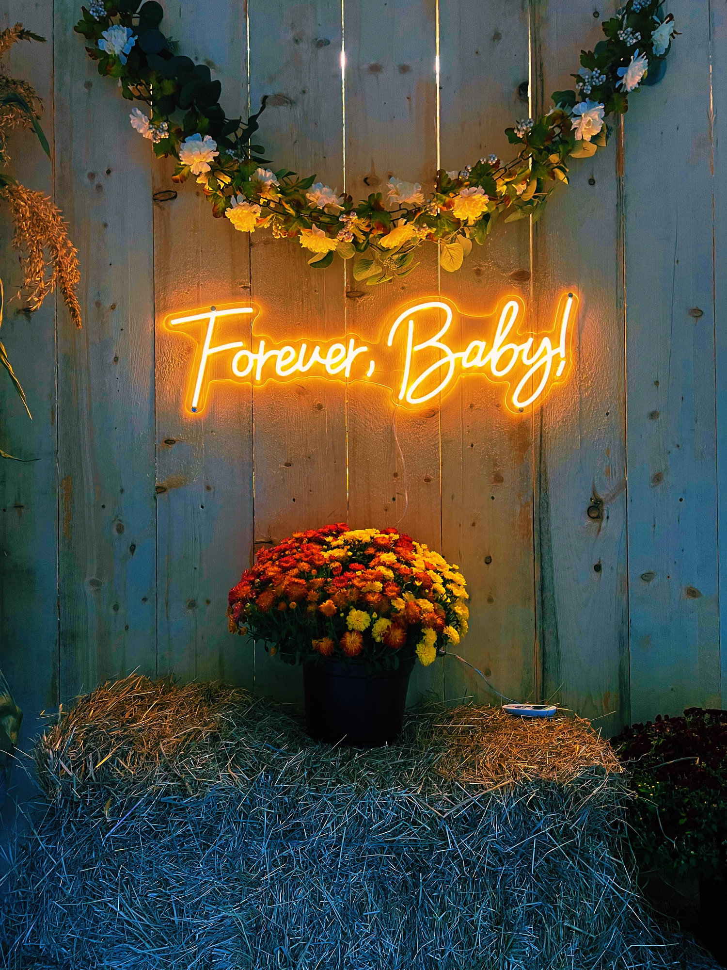 The Wedding Website of Abbey Merow and Max Shiver