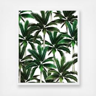 Estampa Coqueiro Wall Art