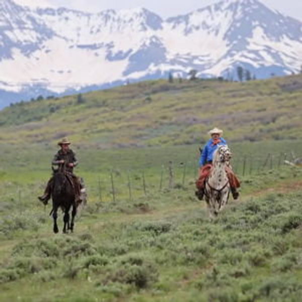 Horseback Riding On Our Honeymoon