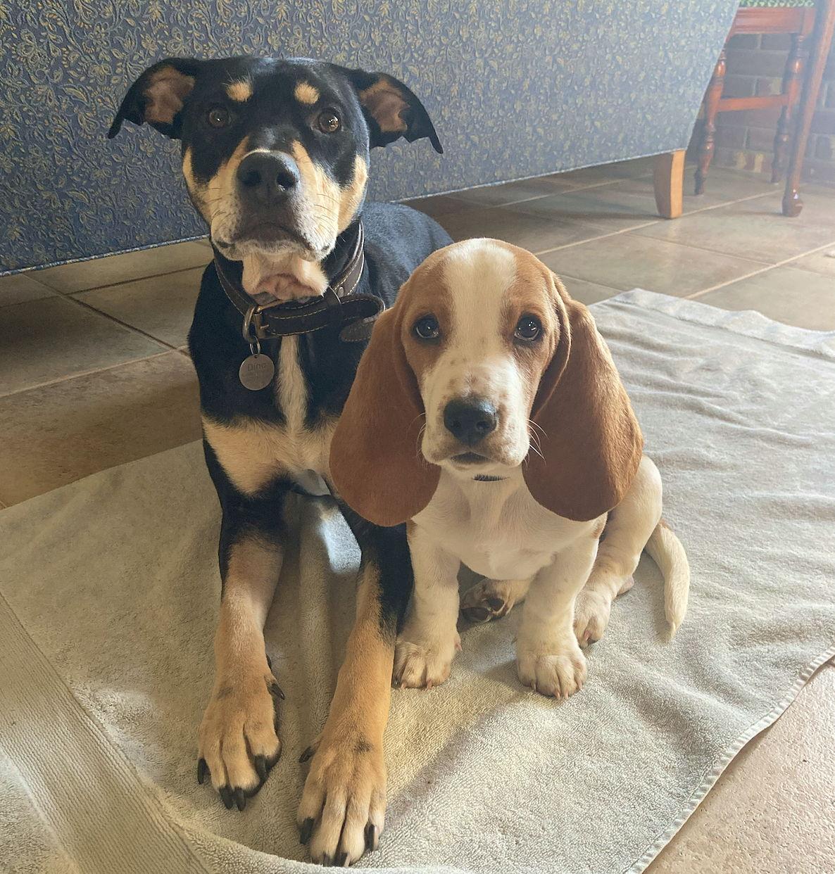 The Wedding Website of Linda Johnson and Jake Bisson