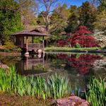 Maymont Japanese Garden