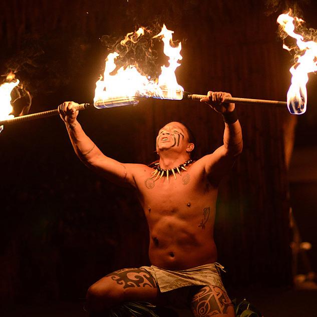 Hawaiian Luau