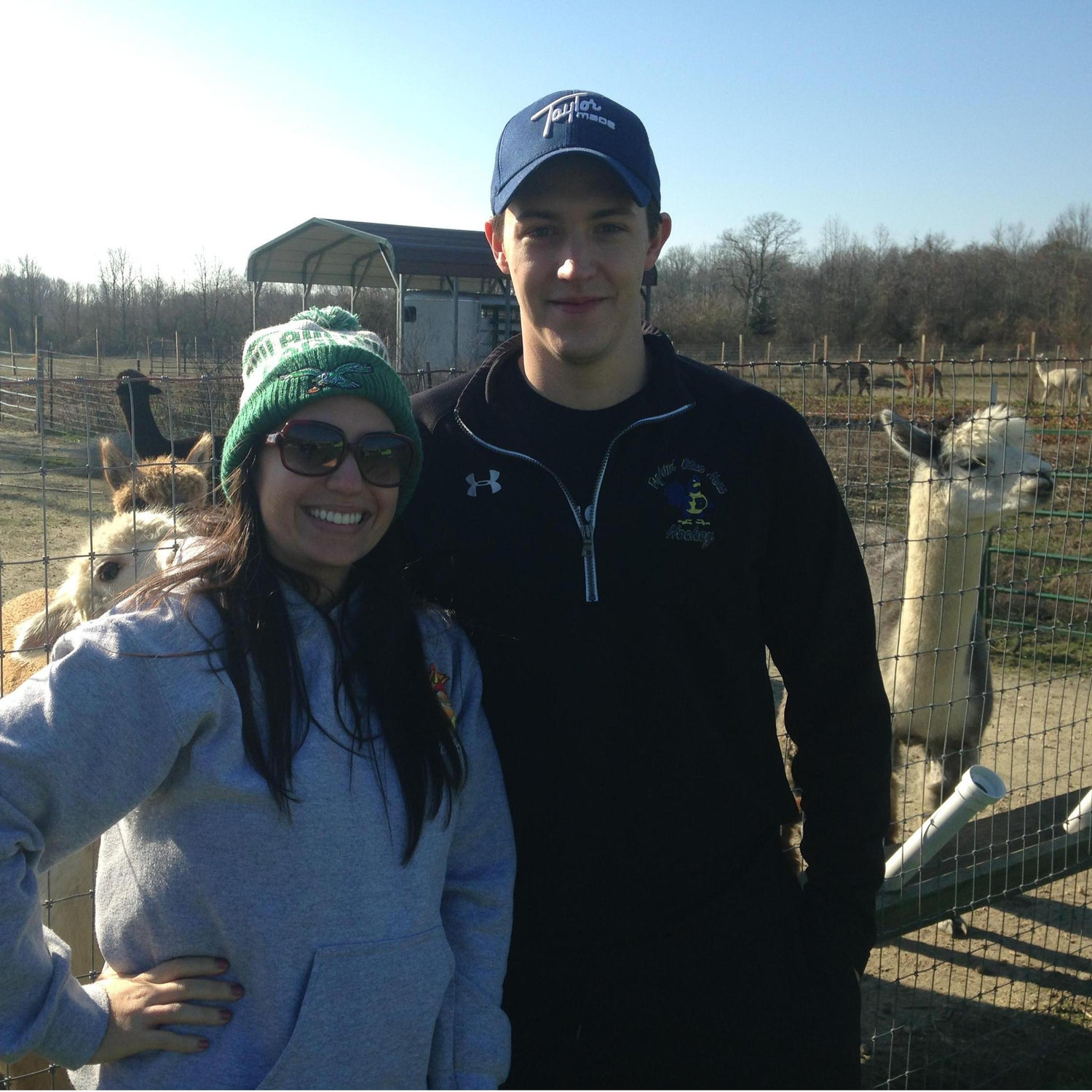 Llama farm