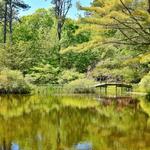 Mytoi Japanese Garden