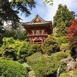 Japanese Tea Garden