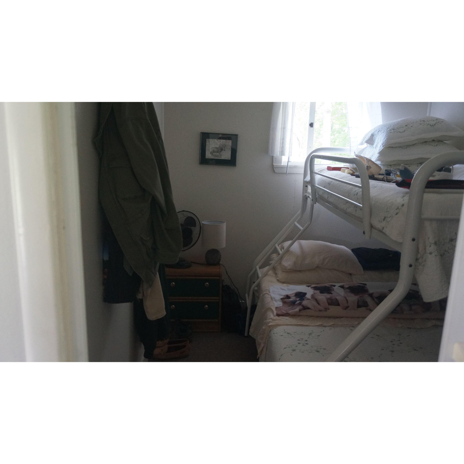 Cabin #7 Interior