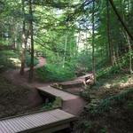 Hamilton College Root Glen