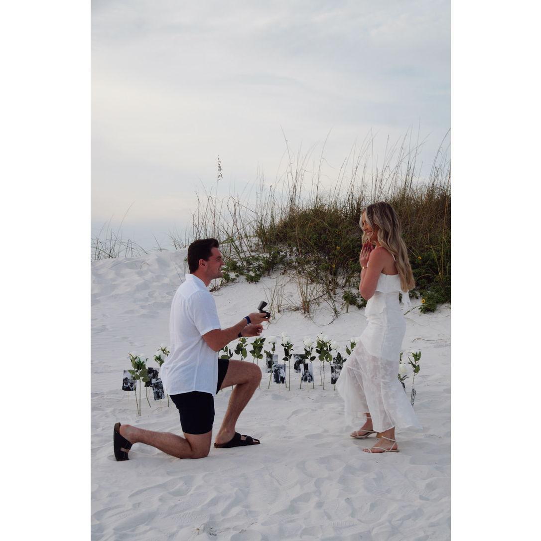 The moment Anne had been waiting for since like 2019 ;)