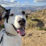 Stough Canyon Nature Center