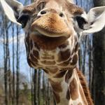 Southwick's Zoo