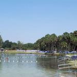 Warm Mineral Springs Park