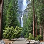 Yosemite National Park
