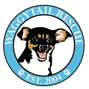Donate to Waggytail Rescue!