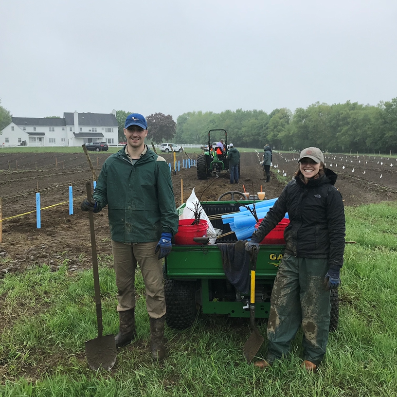 Vineyard Planting!