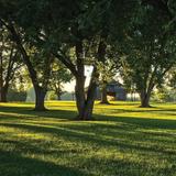 E. Carroll Joyner Park