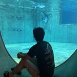 Clearwater Marine Aquarium