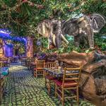Rainforest Cafe
