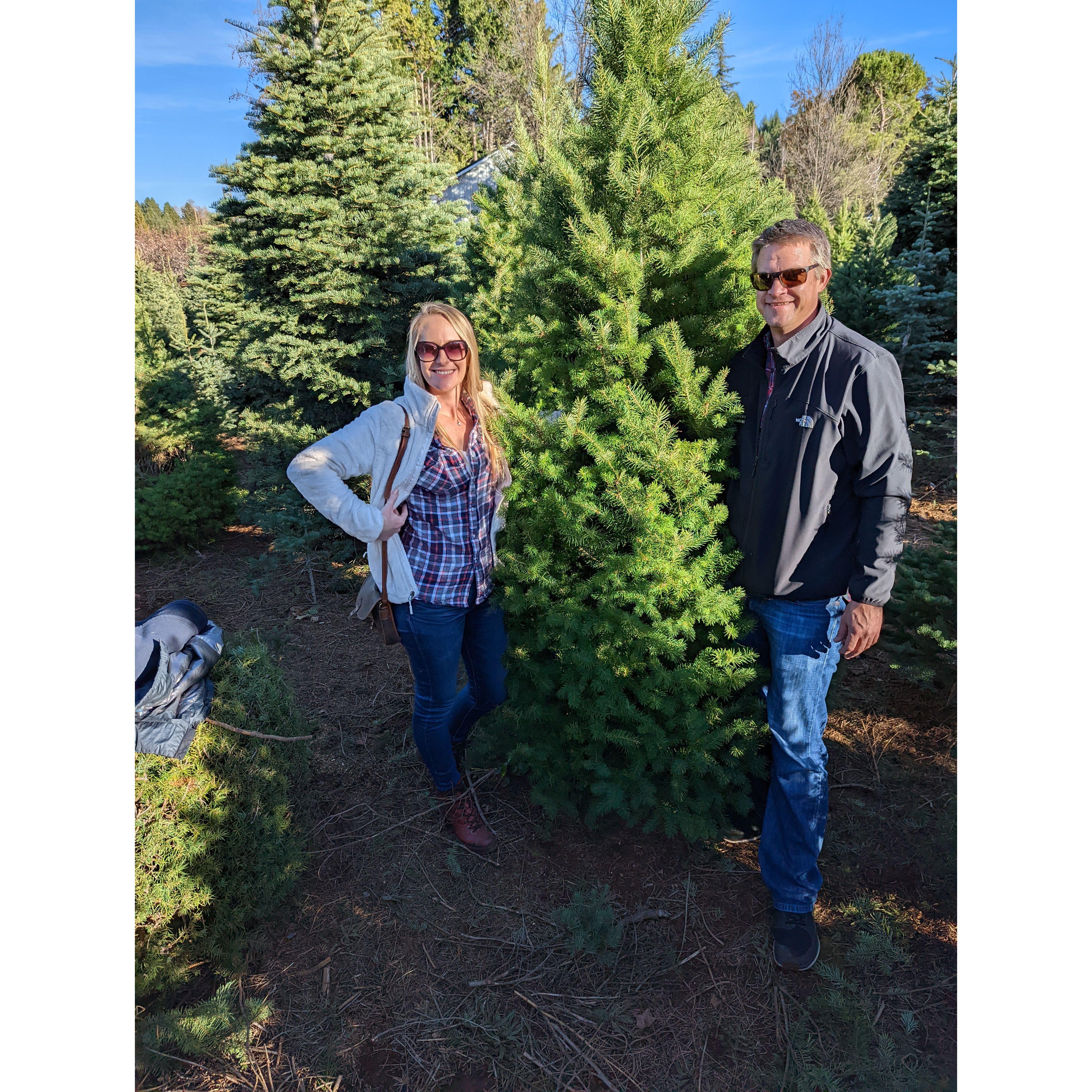 Picking out our first tree together in Apple Hill