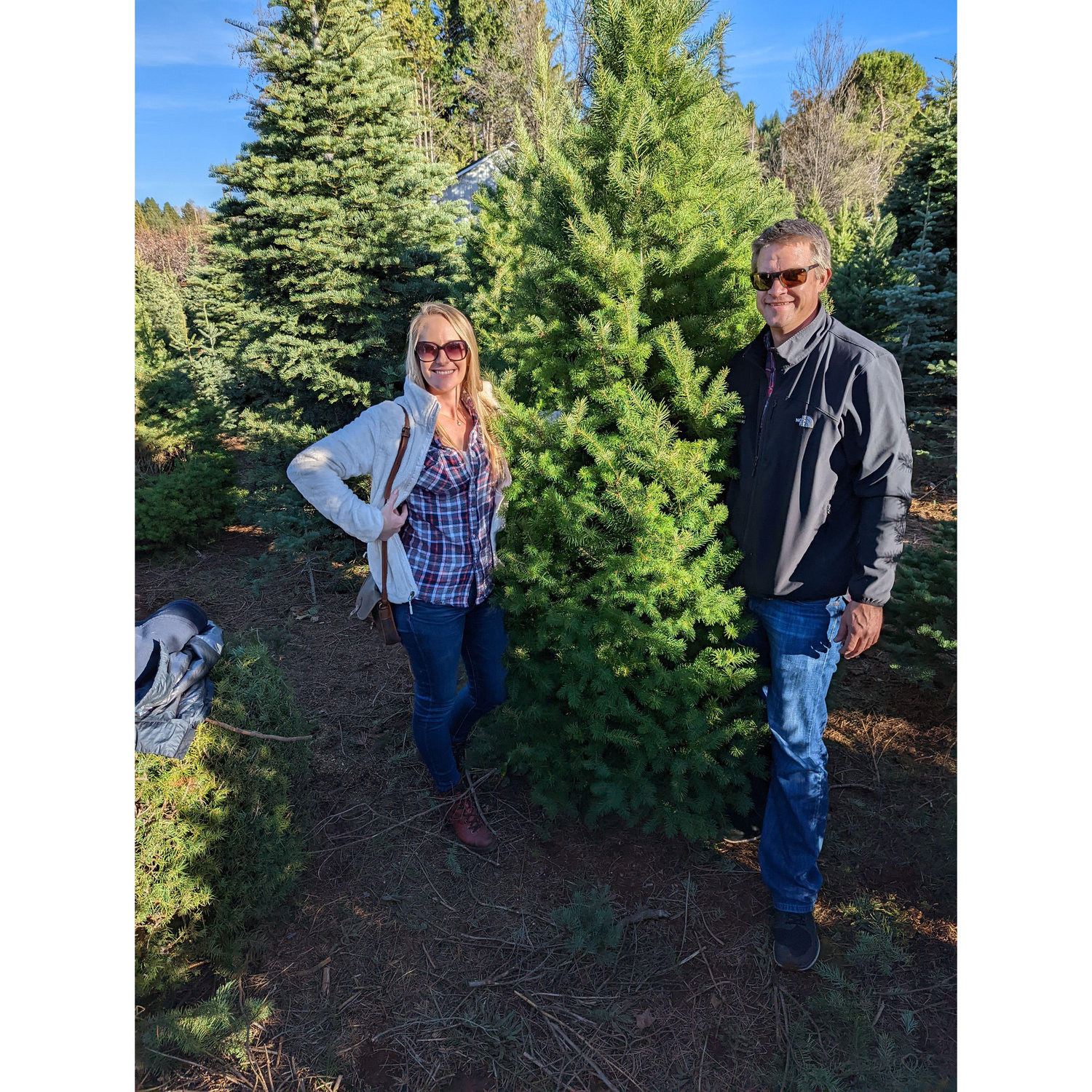Picking out our first tree together in Apple Hill