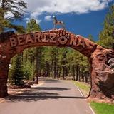 Bearizona Wildlife Park