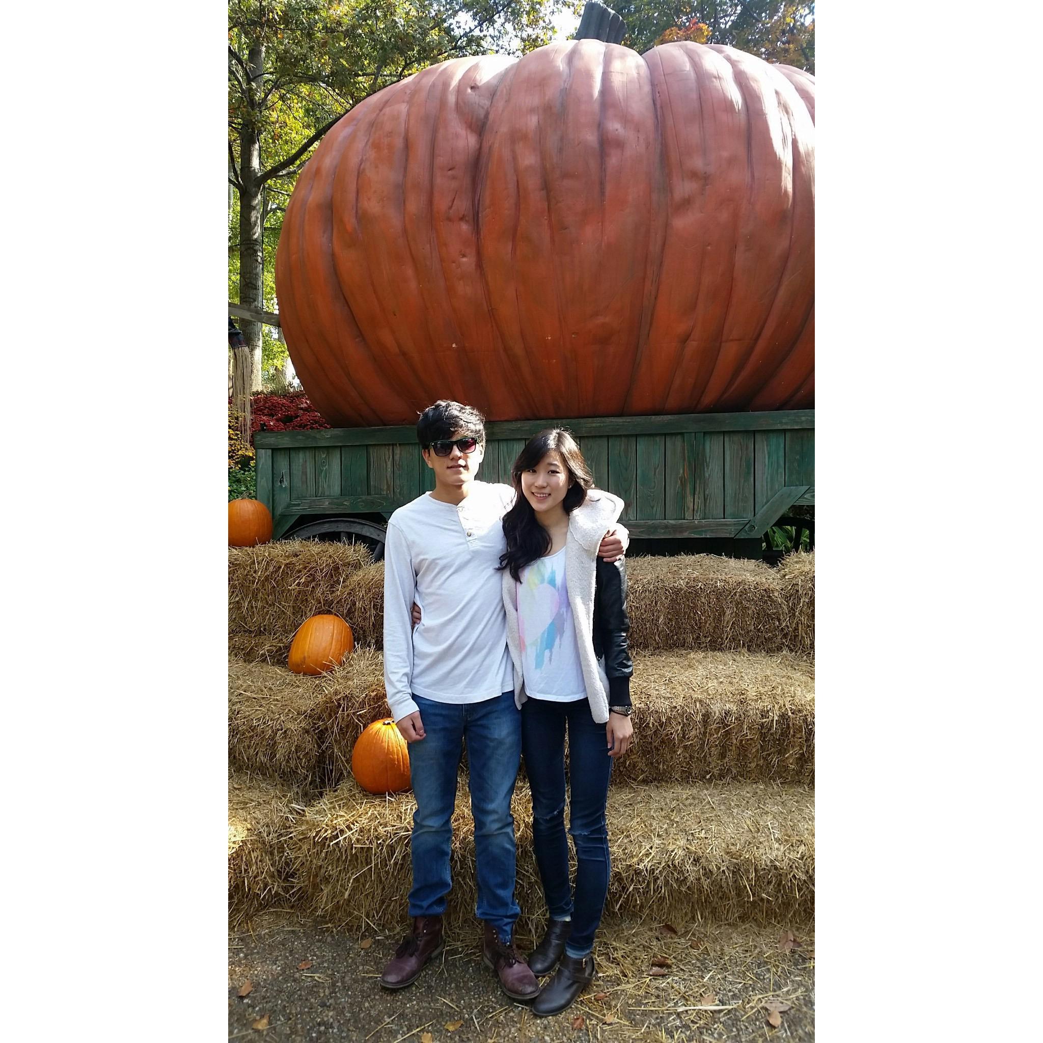 Throughout the years