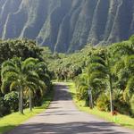 Ho’omaluhia Botanical Garden