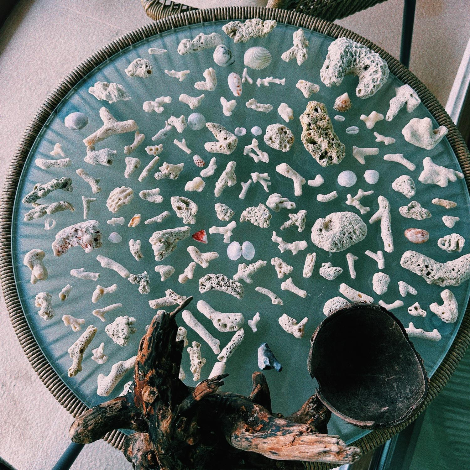 Tommy and Reena started a coral collection. Mind you this was from just one beach trip.