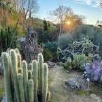 UC Riverside Botanic Gardens