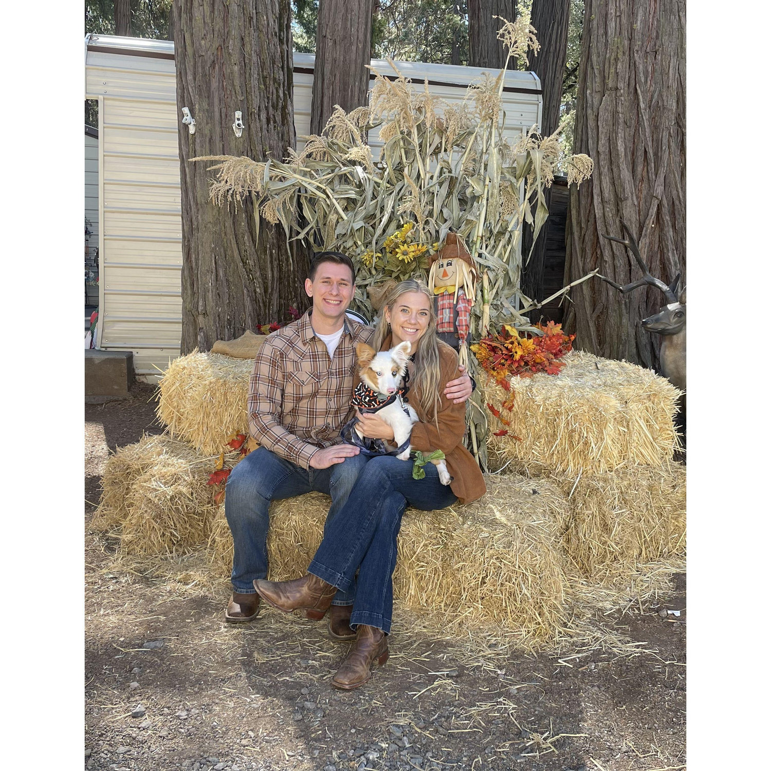 Apple Hill with our Fur Son, Cowboy