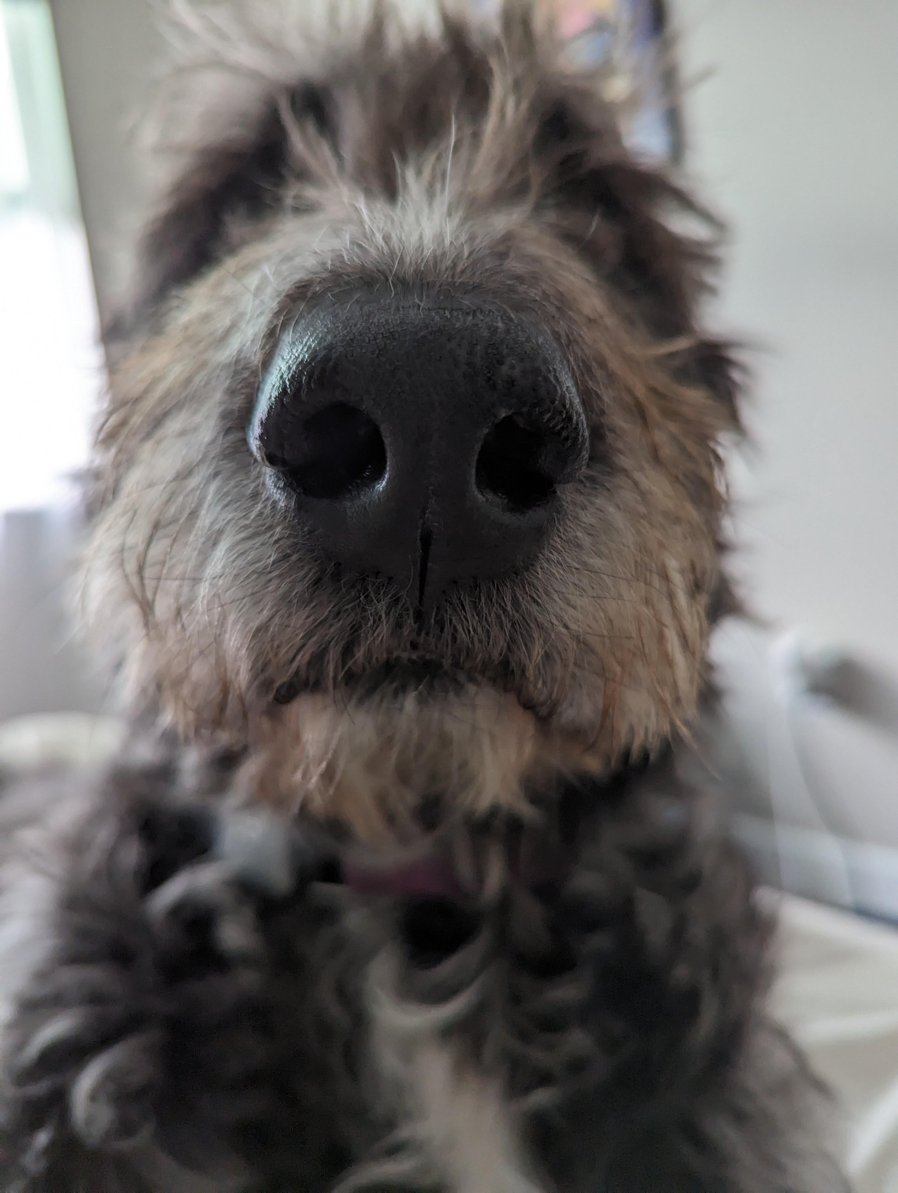 18e45313-fc0f-452f-9012-b3b4903d164b