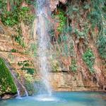 Ein Gedi