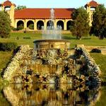 Forest Park