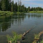 Buffalo River