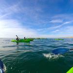 La Jolla Kayak